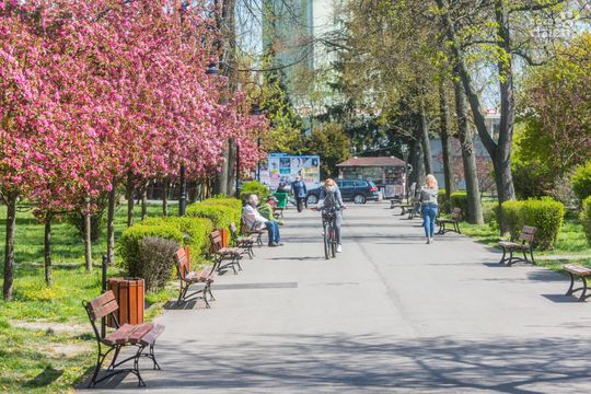 Co przyniósł 2020 rok? 