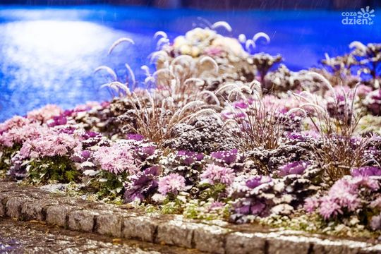 Co przyniósł 2020 rok? Co przyniósł 2020 rok?