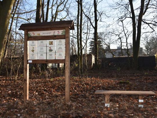 Spędź ferie na łonie natury - najciekawsze miejsca w okolicy cz.1