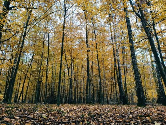 Spędź ferie na łonie natury - najciekawsze miejsca w okolicy cz.1