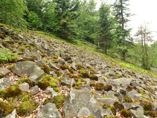 Spędź ferie na łonie natury - najciekawsze miejsca w okolicy cz.1