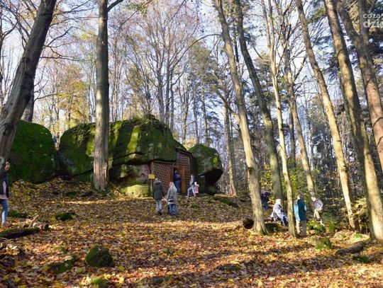 Spędź ferie na łonie natury - najciekawsze miejsca w okolicy cz.1