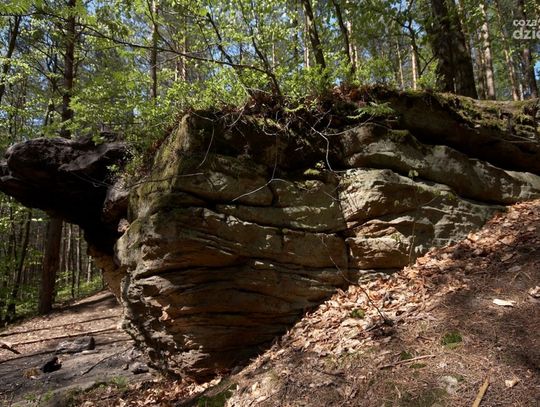 Spędź ferie na łonie natury - najciekawsze miejsca w okolicy cz.1