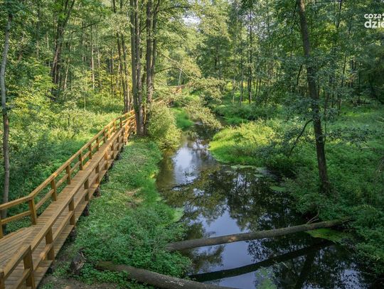 Spędź ferie na łonie natury - najciekawsze miejsca w okolicy cz.1