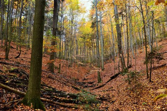 Spędź ferie na łonie natury - najciekawsze miejsca w okolicy cz.1