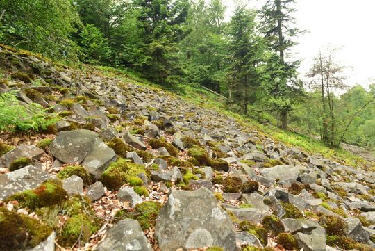 Spędź ferie na łonie natury - najciekawsze miejsca w okolicy cz.1
