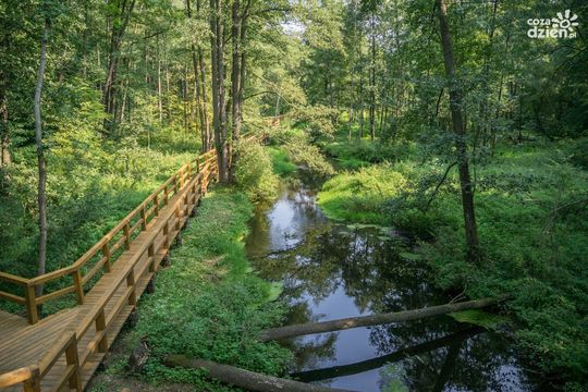 Spędź ferie na łonie natury - najciekawsze miejsca w okolicy cz.1 Spędź ferie na łonie natury - najciekawsze miejsca w okolicy cz.1