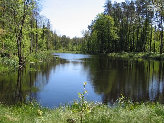 Spędź ferie na łonie natury - najciekawsze miejsca w okolicy cz.2