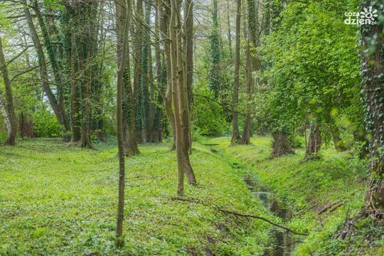 Spędź ferie na łonie natury - najciekawsze miejsca w okolicy cz.2