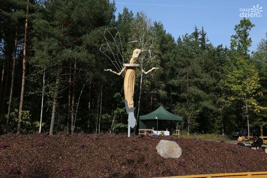 Spędź ferie na łonie natury - najciekawsze miejsca w okolicy cz.2