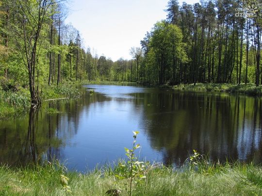 Spędź ferie na łonie natury - najciekawsze miejsca w okolicy cz.2