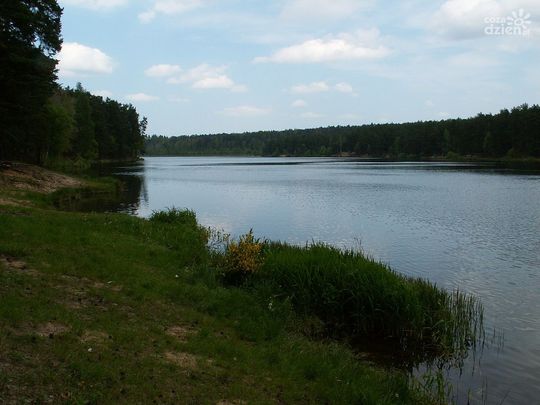 Spędź ferie na łonie natury - najciekawsze miejsca w okolicy cz.2