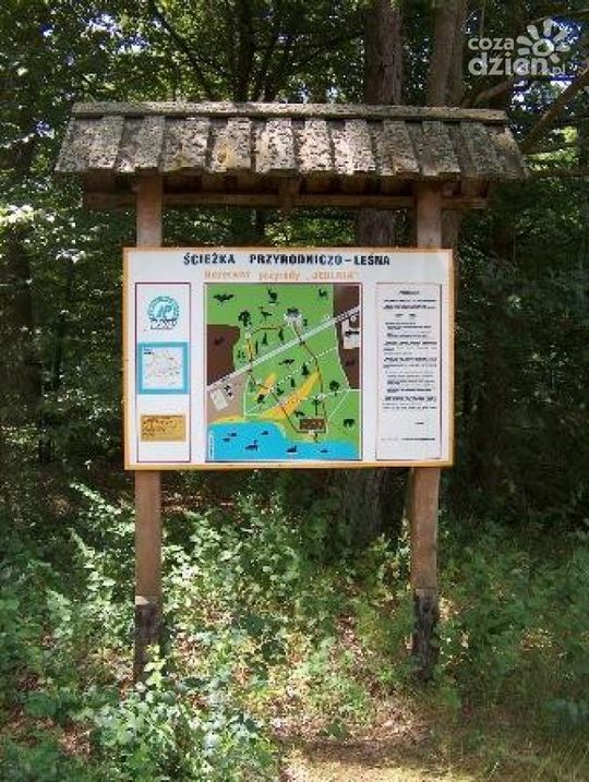 Spędź ferie na łonie natury - najciekawsze miejsca w okolicy cz.2