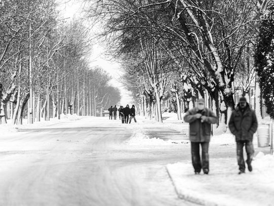 Zima w czerni i bieli (zdjęcia)