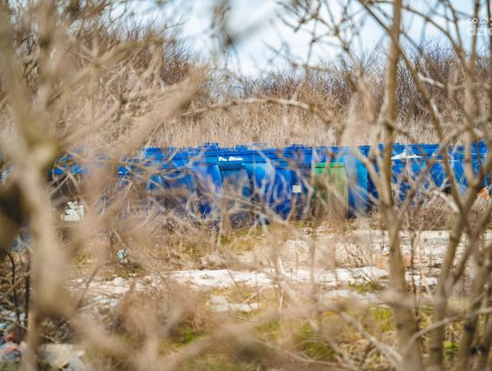 Nielegalne odpady w Strzałkowie (zdjęcia) Nielegalne odpady w Strzałkowie (zdjęcia)