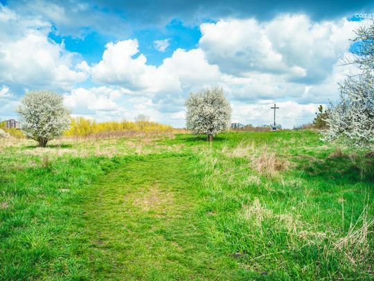 Efekty sprzątania Piotrówki przez RGM (zdjęcia) Efekty sprzątania Piotrówki przez RGM (zdjęcia)