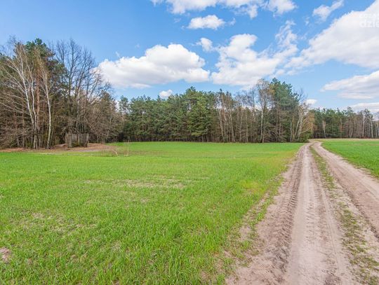 Zapomniane miejsca. Bunkry w powiecie radomskim (zdjęcia)