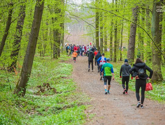 Bieg Konstytucji w Lesie Kapturskim (zdjęcia)