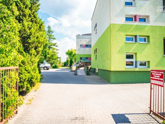 Ze szkolnej kroniki: PSP 16 im. Św. Brata Alberta (zdjęcia)