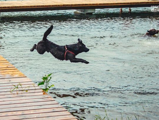 Weekend w obiektywie Weekend w obiektywie