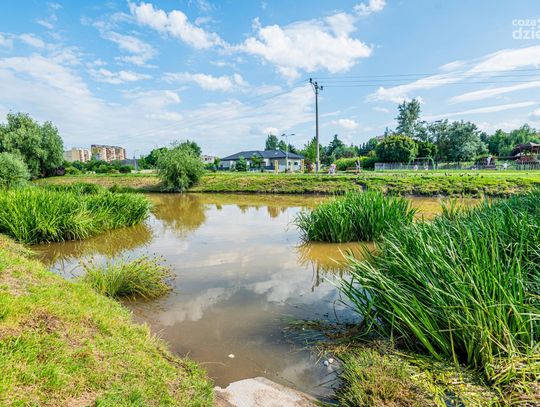 Skażone oczko wodne w parku na Gołębiowie (zdjęcia)