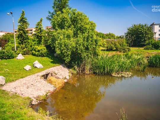 Oczko wodne na Gołębiowe po interwencji Wodociągów Miejskich (zdjęcia)