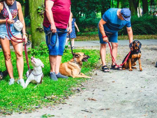 Weekend w obiektywie