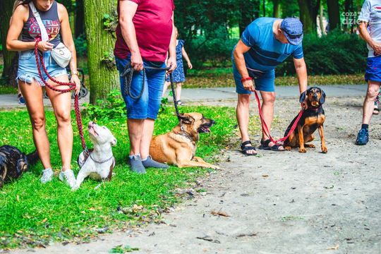 Weekend w obiektywie