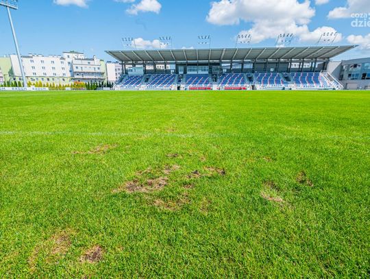 Stan murawy na stadionie MOSiR (zdjęcia) Stan murawy na stadionie MOSiR (zdjęcia)