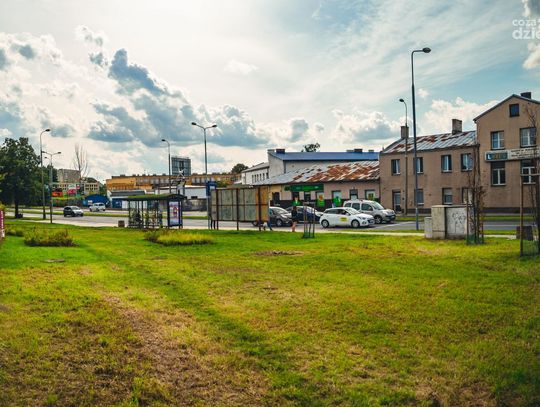 Kolejny zielony przystanek w Radomiu (zdjęcia) Kolejny zielony przystanek w Radomiu (zdjęcia)