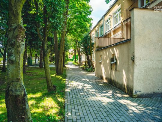 Ze szkolnej kroniki: PSP 25 im. Władysława Jędrasia (zdjęcia)