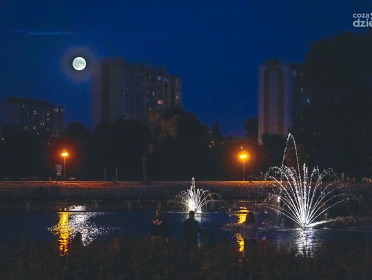 Cafe Jazz Festiwal dzień. 2 (zdjęcia)