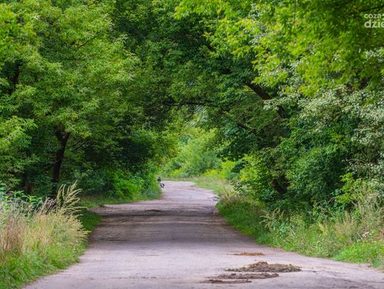 Spacerkiem po mieście. Las Kapturski (zdjęcia) Spacerkiem po mieście. Las Kapturski (zdjęcia)