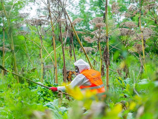 Weekend w obiektywie 