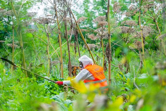 Weekend w obiektywie 