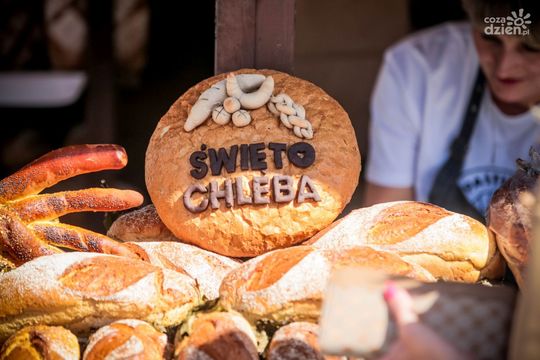 Weekend w obiektywie Weekend w obiektywie