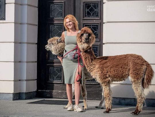 Weekend w obiektywie [zdjęcia]