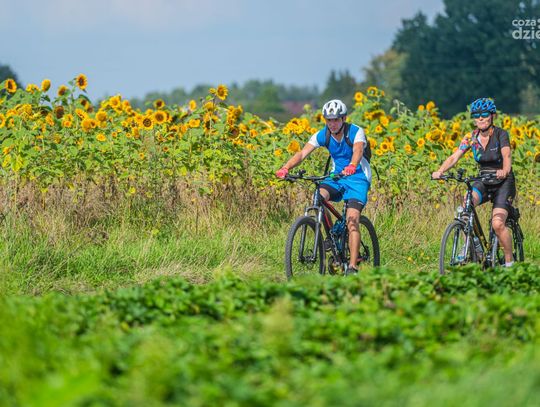 Weekend w obiektywie [zdjęcia]