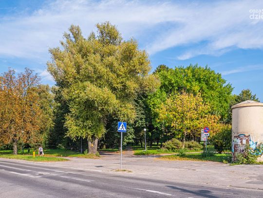 Spacerkiem po mieście: Park Ruzika (zdjęcia)