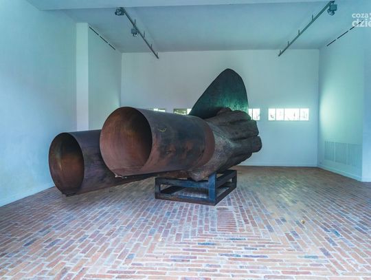 40-urodziny Centrum Rzeźby Polskiej - piknik (Zdjęcia)