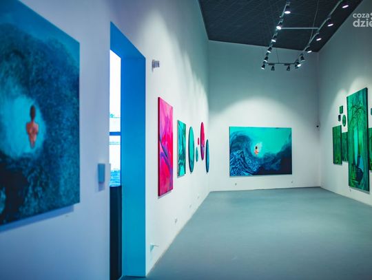 Wernisaż wystawy „Take a look” (zdjęcia)