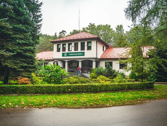 Nadleśnictwo Radom rozdaje sadzonki (zdjęcia)