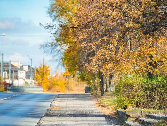 Radom w kolorach jesieni (zdjęcia)