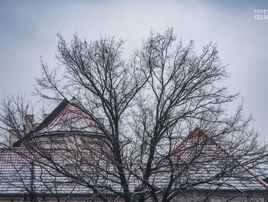 Zima zawitała do Radomia (zdjęcia)