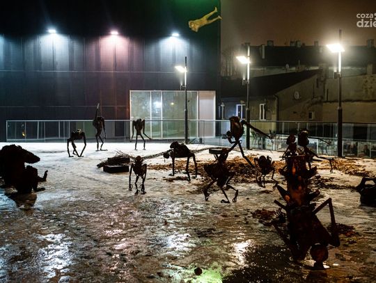 Instalacja „Granica” Marioli Wawrzusiak-Borcz  w Elektrowni (zdjęcia)