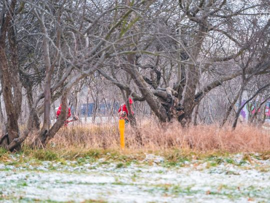 Koszenie traw na Ustroniu (zdjęcia)