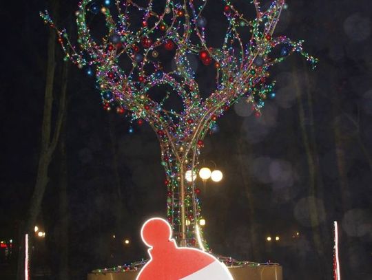 Efektowne iluminacje świąteczne w regionie! 