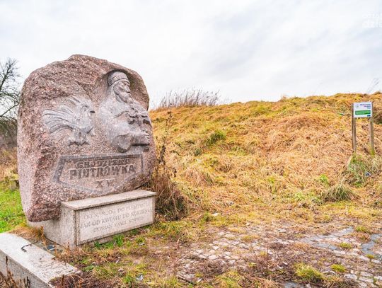 Wycinka drzew na Piotrówce (zdjęcia) Wycinka drzew na Piotrówce (zdjęcia)