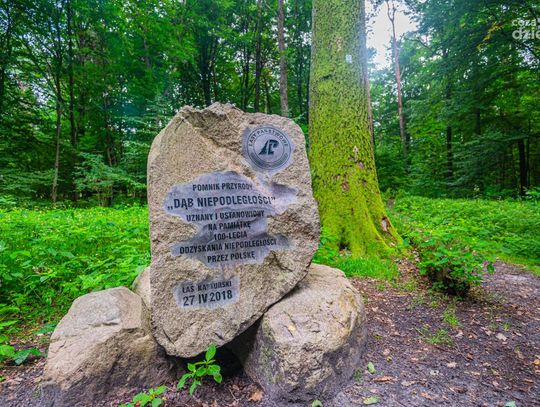 Na weekend, na ferie. 13 propozycji, jak spędzić czas Na weekend, na ferie. 13 propozycji, jak spędzić czas