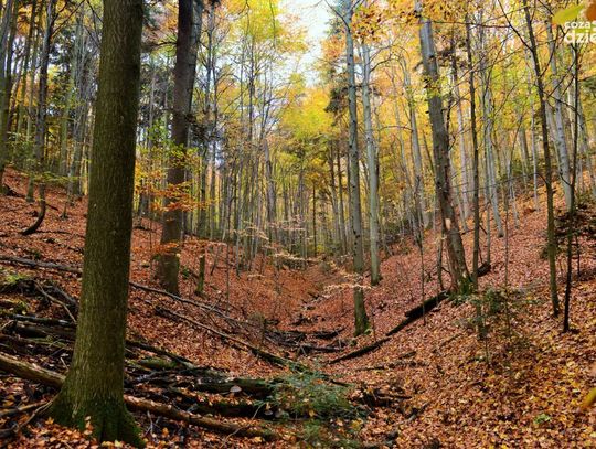 Na weekend, na ferie. 13 propozycji, jak spędzić czas Na weekend, na ferie. 13 propozycji, jak spędzić czas